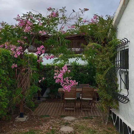 Wonderful And Cozy *
